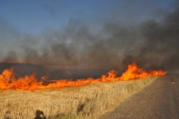 Поблизу Курахового внаслідок ворожих обстрілів знищено 12 гектарів пшеничних полів